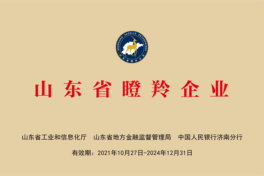 国网中电公司：山东省瞪羚企业